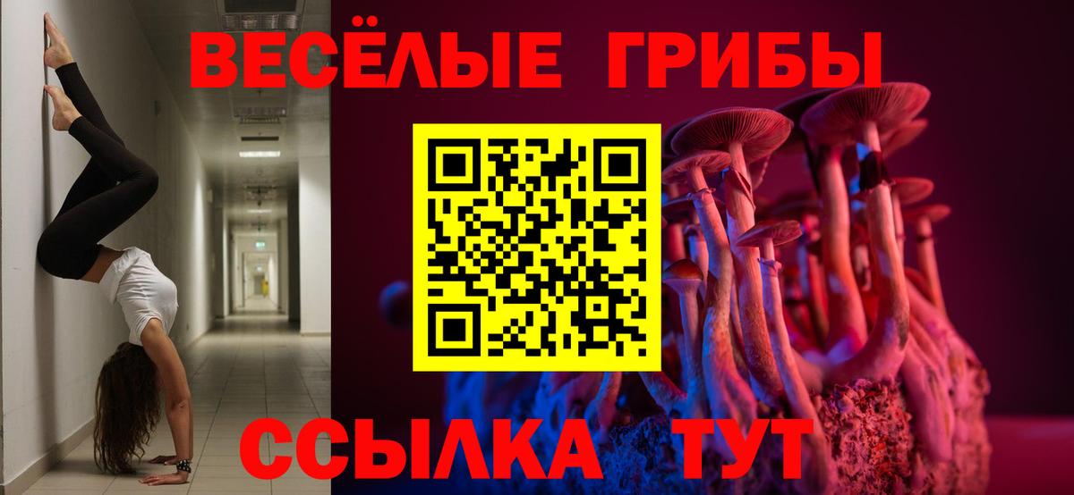 Галлюциногенные грибы прущие грибы  Вход с VPN  Галлюциногенные грибы Psilocybine cubensis  Губкинский 