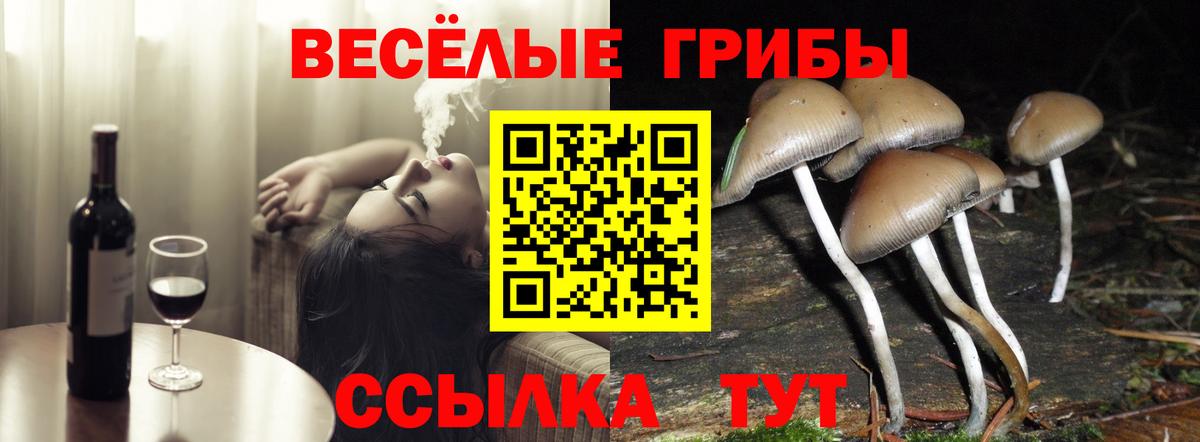 Галлюциногенные грибы прущие грибы Губкинский